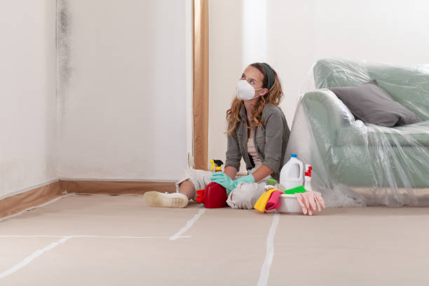 Reliable Mold Testing contractor in Maryland, MD by WQB Mold Removal